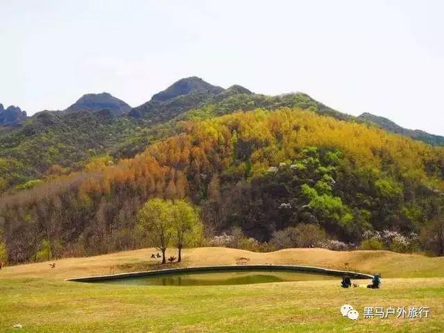 孝不等人!贾平凹:我觉得我妈没有死,她一定还牵挂着我